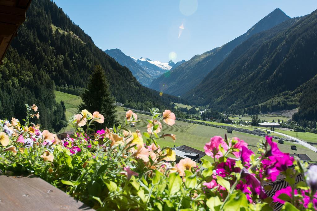 Haus Mary Apartment Neustift im Stubaital Exterior foto